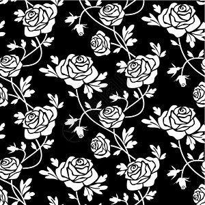 黑色的白玫瑰白色植物玫瑰漩涡墙纸插图婚礼装饰品叶子时代背景图片