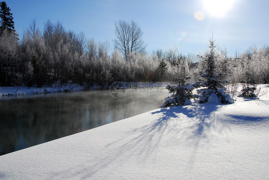 冬季风景反射天空蓝色白色森林场景季节树木天气冻结图片