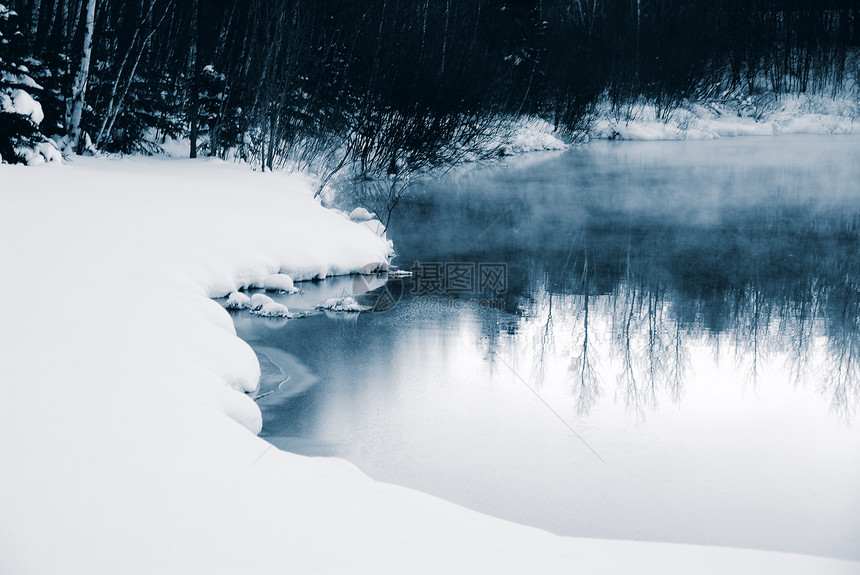 冬季蓝蓝色季节场景天气冻结树木森林天空白色反射图片