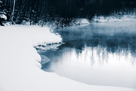 冬季蓝蓝色季节场景天气冻结树木森林天空白色反射背景图片
