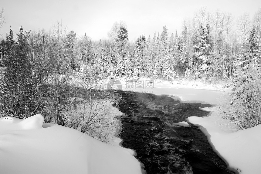 温冬河下雪森林场景白色天空风景黑色图片