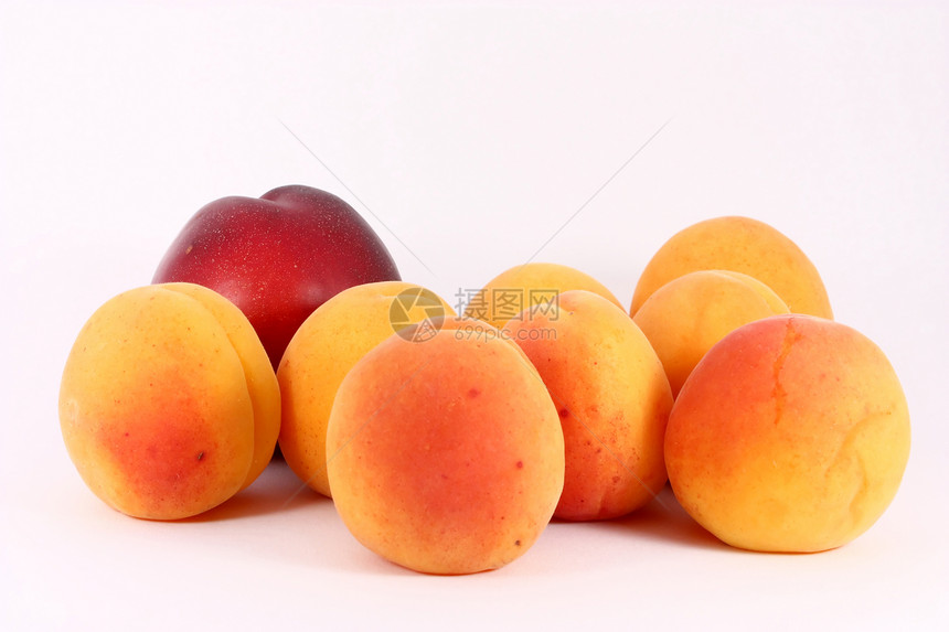 杏和谷类植物果汁水果季节甜点饮食食物图片