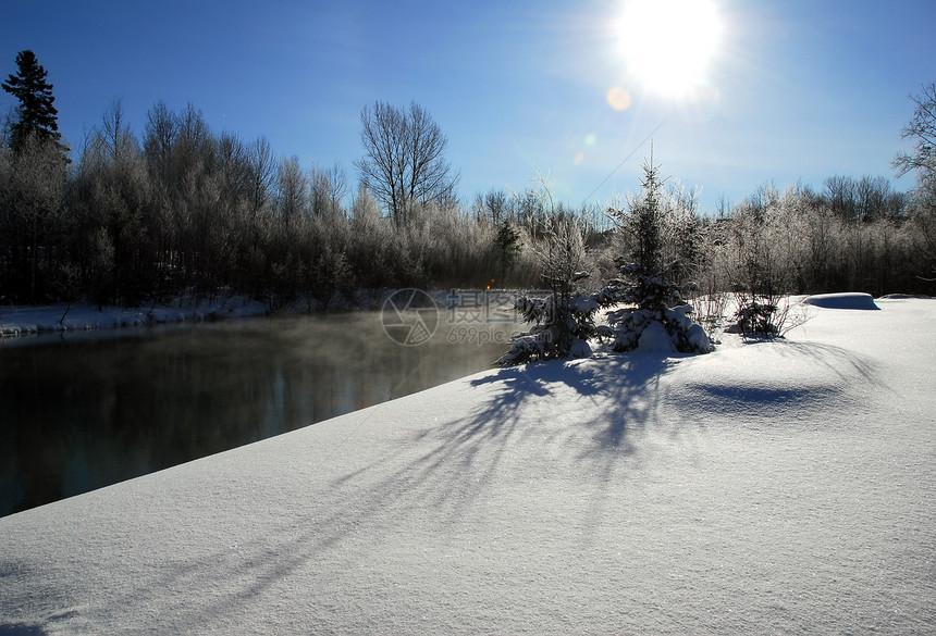 冬季风景白色天空森林蓝色场景反射天气冻结季节树木图片