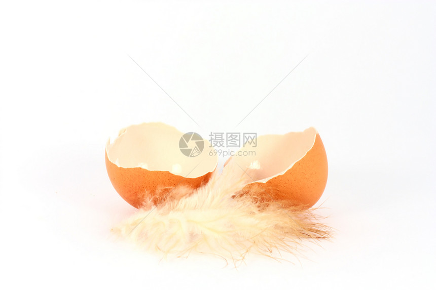 鸡蛋壳裂缝白色羽毛食物图片