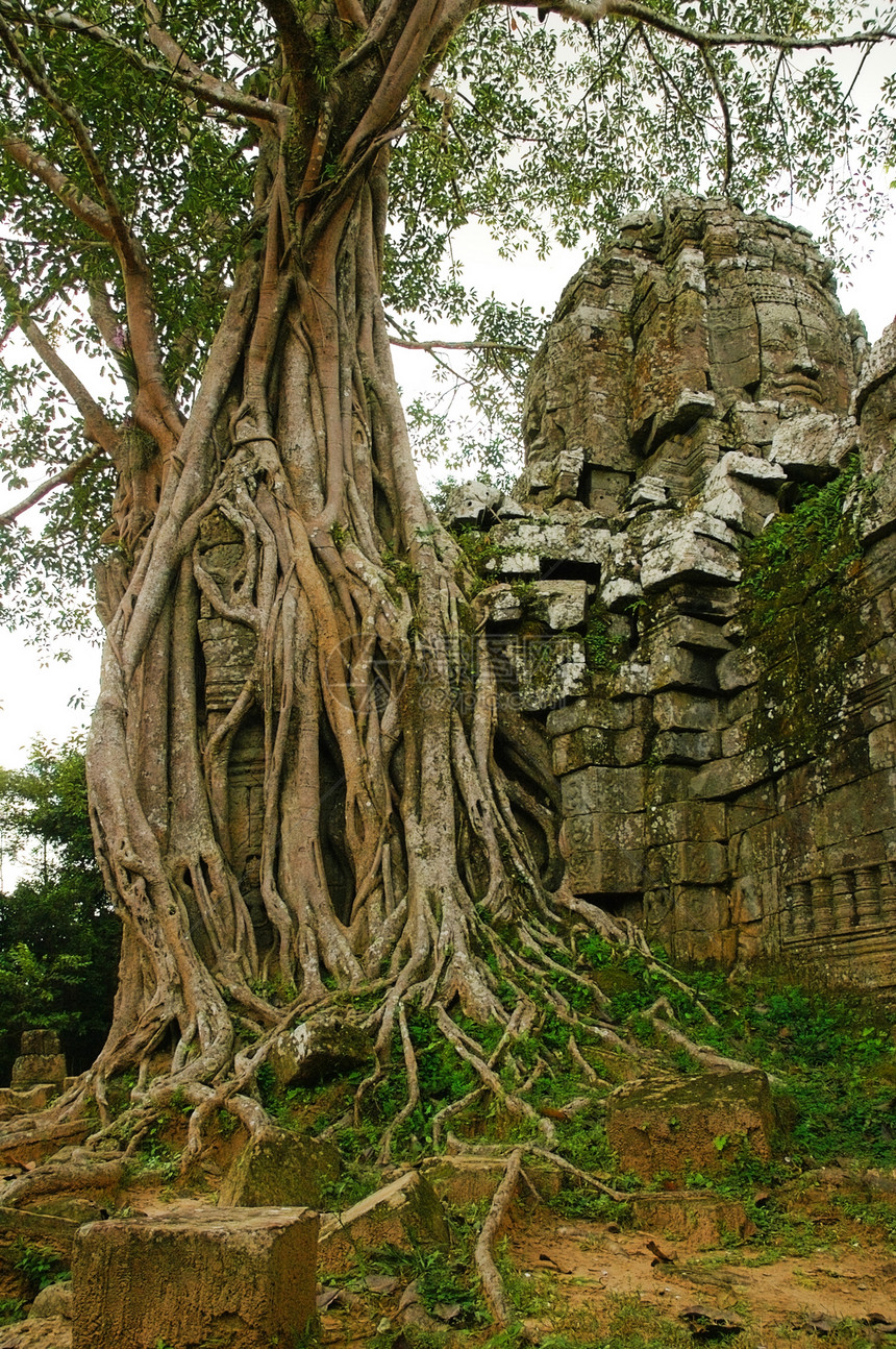 柬埔寨古老寺庙的运行石头地标杂草纪念碑考古学高棉语建筑学宗教遗产旅行图片