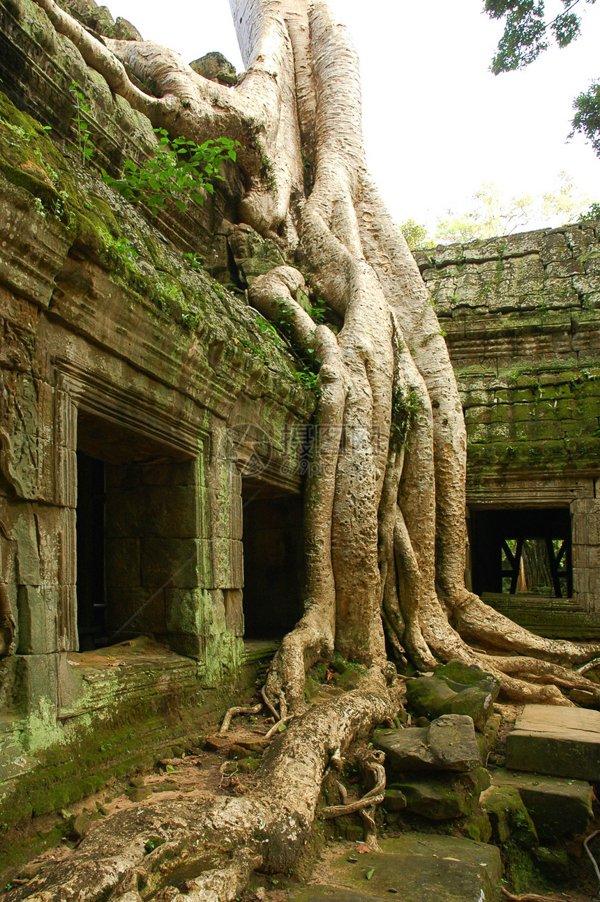 柬埔寨古老寺庙的运行废墟杂草建筑学文化历史植物宗教热带遗产石头图片