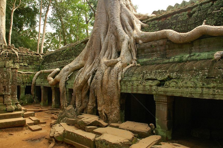 柬埔寨古老寺庙的运行考古学历史宗教收获石头废墟旅行杂草遗产建筑学图片