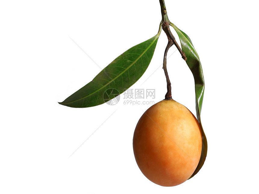 异国情调的泰国水果 Maprang 玛丽安李子 Gandaria 玛丽安芒果 李子芒果食物气候热带白色绿色美食李子黄色图片