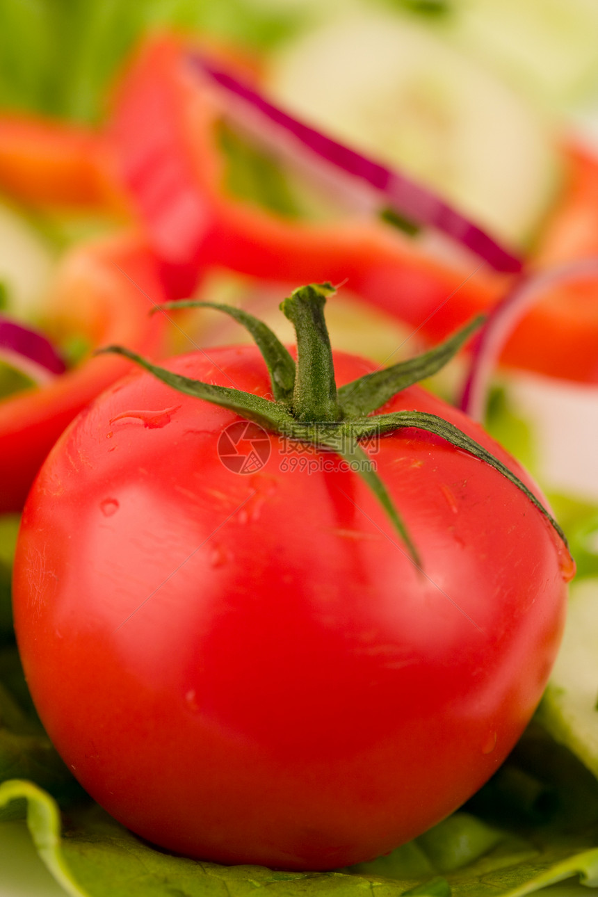 在沙拉床上闭着番茄红色草本植物辣椒饮食低脂肪香葱绿色沙拉午餐收藏图片