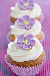 海绵糕紫色纸杯蛋糕淡紫色饮食育肥装饰小吃圆点食物烘焙派对斑点背景