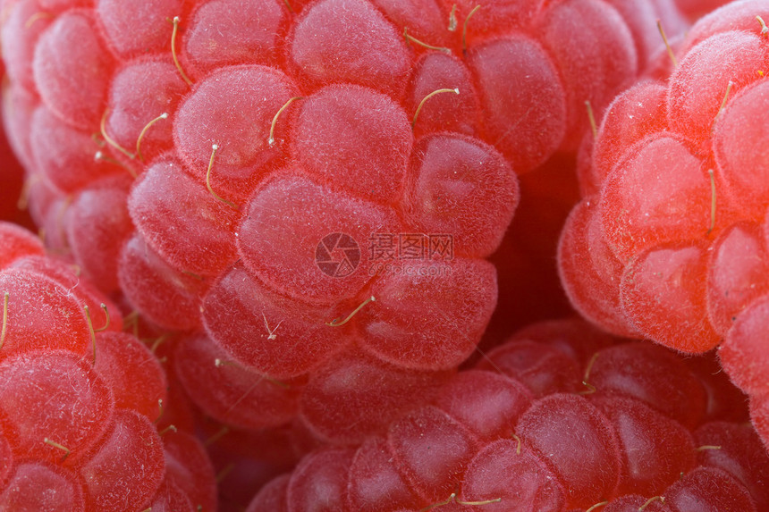 草莓红色营养甜点生产浆果宏观水果食物覆盆子图片