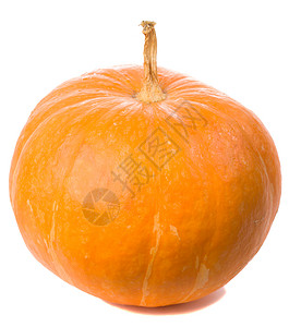 橙色南瓜蔬菜葫芦壁球白色橙子食物背景图片