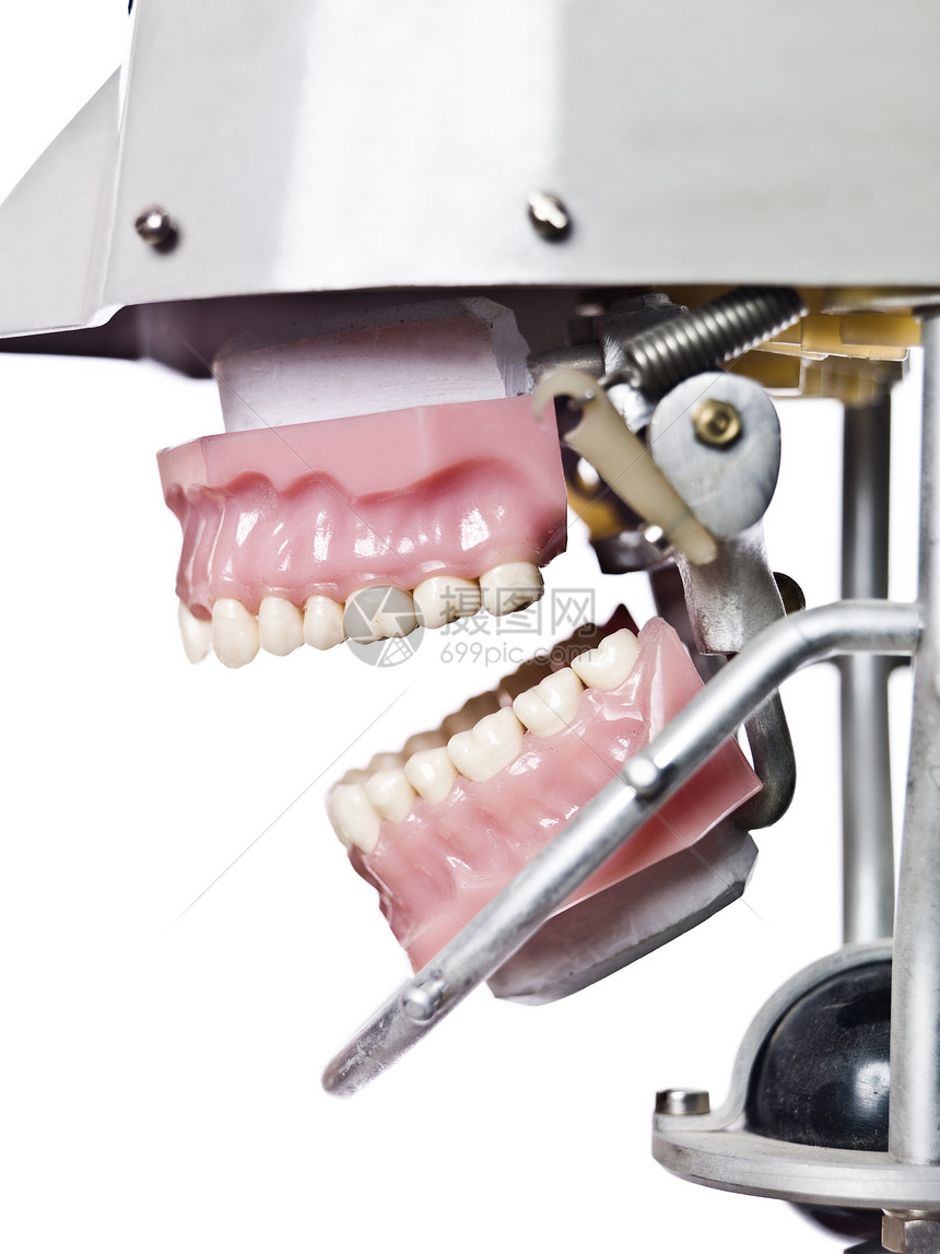 古人造假牙人类设备对象不好古董卫生牙齿牙科生活方式影棚图片