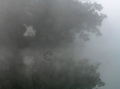 雾中单坐长凳高清图片