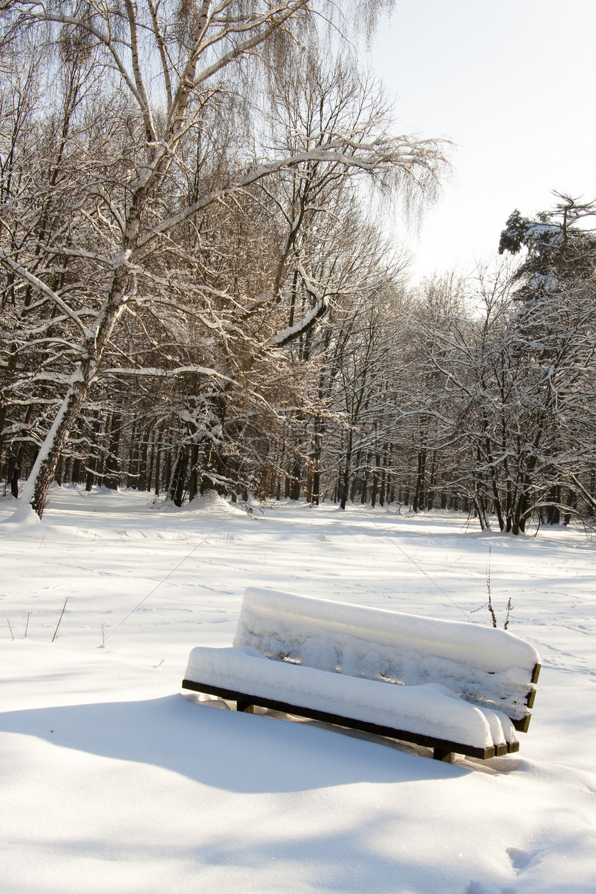 雪雪板阳光季节雪景晴天公园孤独小路国家太阳纸牌图片