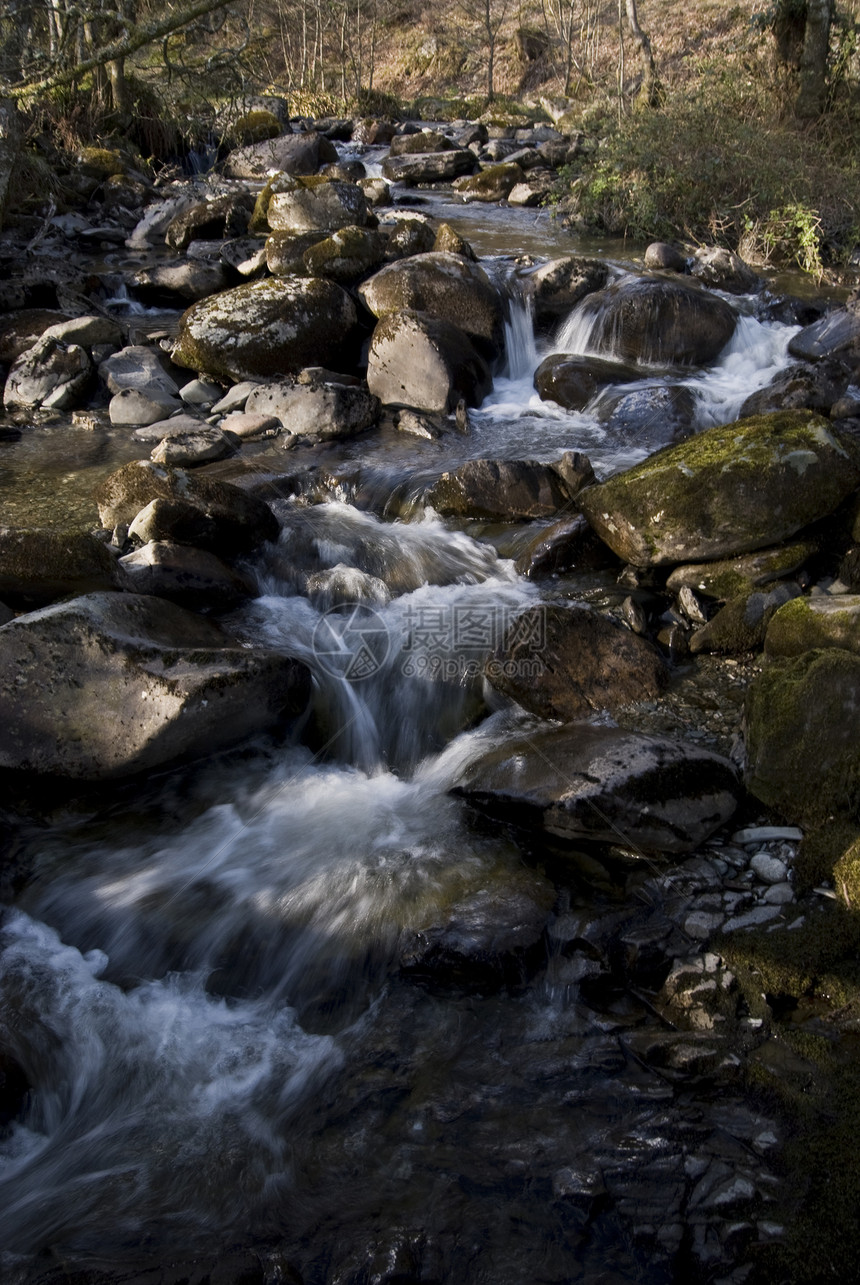 瀑布溪流森林岩石液体图片