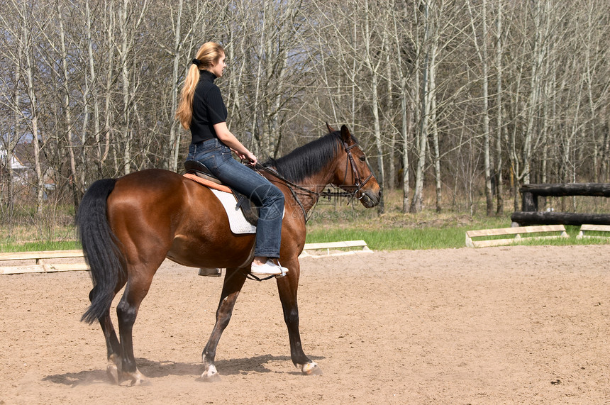 女孩骑马骑师闲暇训练骑手马背种马宠物牛仔女人运动图片