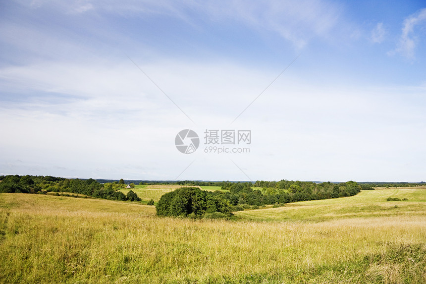 夏季风景牧场气候太阳阳光环境公园农业场景地平线图片