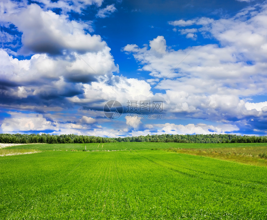 夏季风景环境季节阳光天空场景场地公园蓝色美化森林图片
