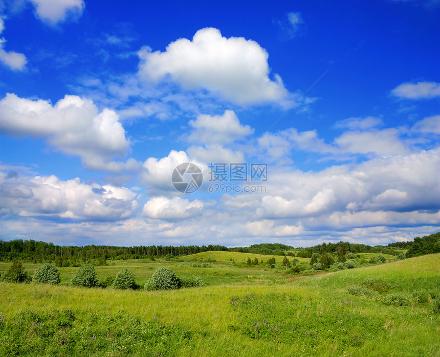 夏季风景爬坡美化土地农业季节气候场地森林天空牧场图片