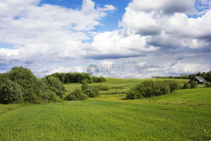 农村景观土地气候叶子场景牧场天空爬坡森林美化蓝色图片