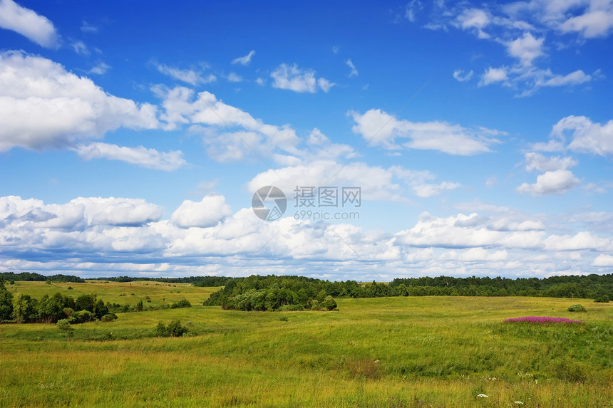 夏季风景气候天空阳光孤独公园牧场森林自由美化蓝色图片