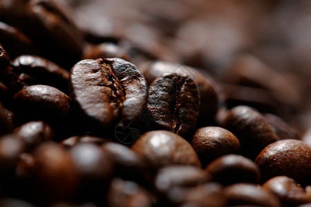 咖啡豆豆食物咖啡棕色背景图片