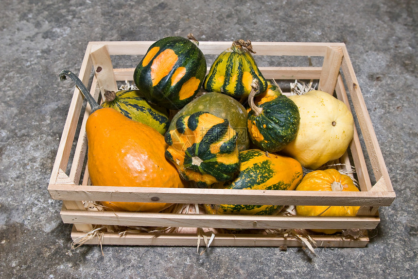 南南瓜篮农场食物饮食花园季节营养烹饪橙子水果篮子图片
