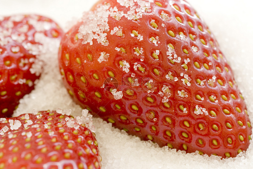 糖草莓红色甜点营养食物水果白色图片