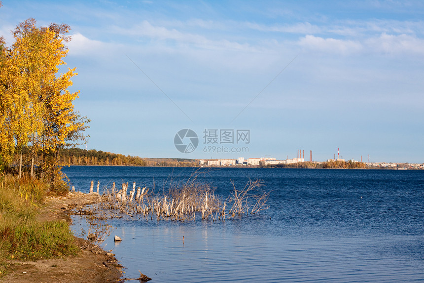 金秋湖荒野桦木衬套森林自由水平蓝色黄色树枝海岸图片