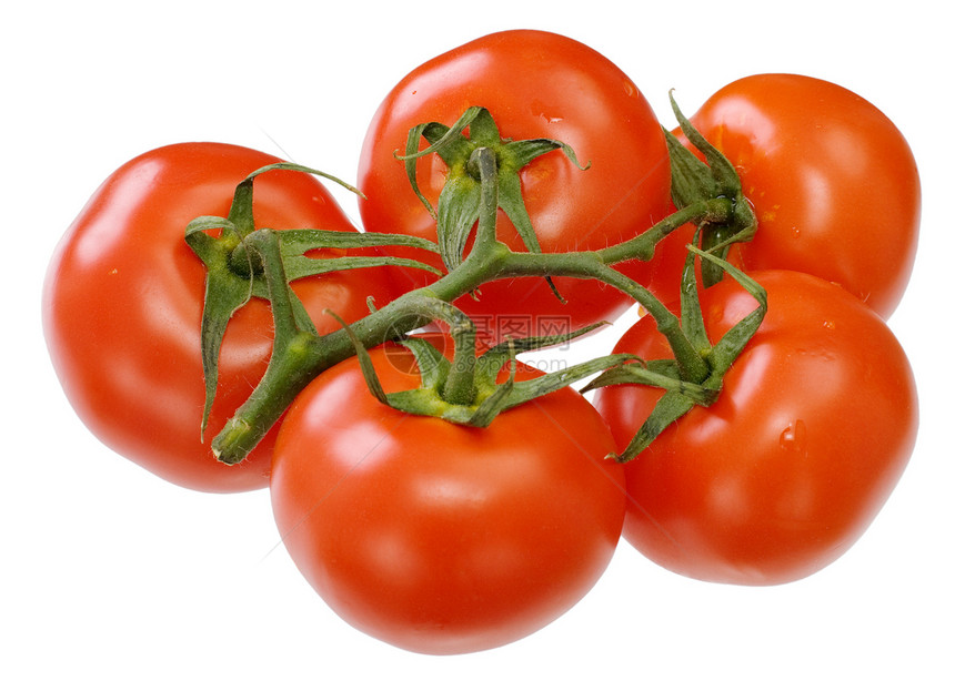 番茄白色红色蔬菜绿色图片