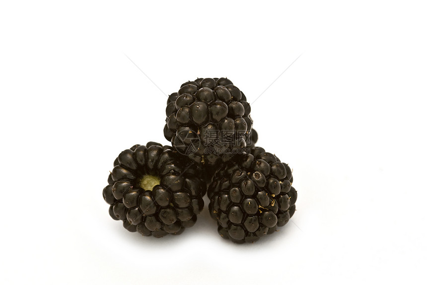 黑莓收成水果榆树产品荒野柳条食物叶子荆棘森林图片