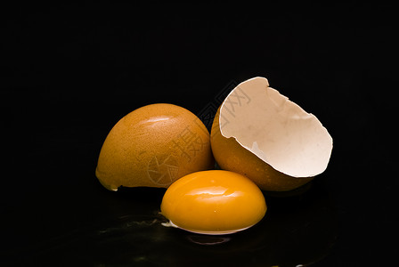 鸡蛋收集损失母鸡食物孵化事故鹌鹑鹧鸪蛋黄家畜背景图片