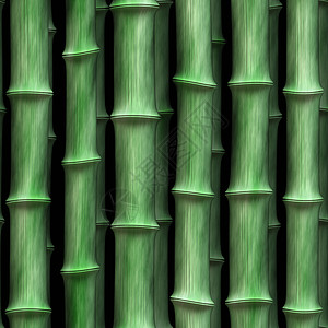 sl 绿竹子3背景图片