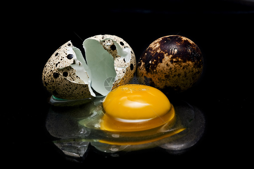 鸡蛋公鸡营养农场事故蛋壳卵形孵化产品鹌鹑鸟类图片