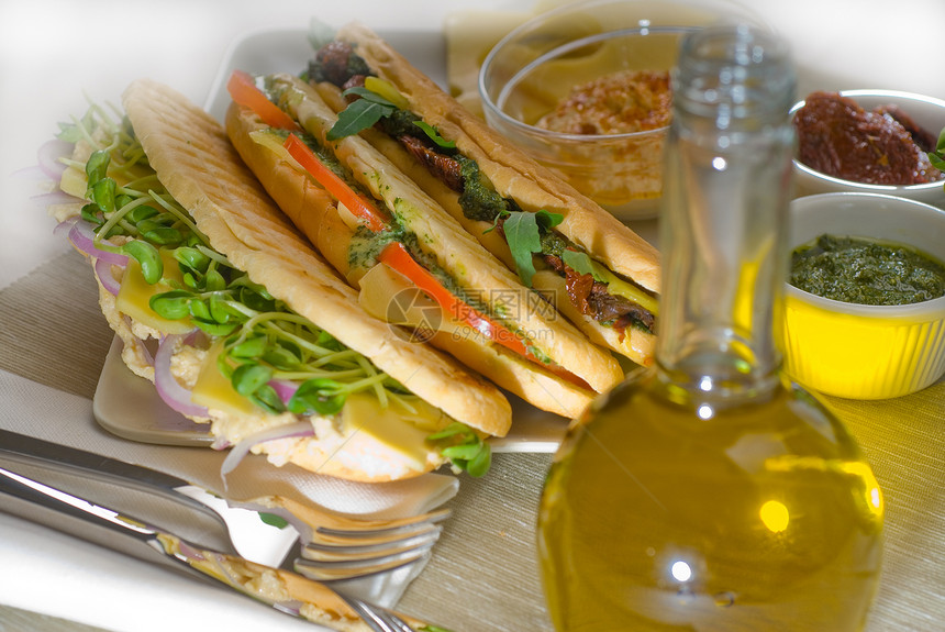 各种混杂的帕尼尼三明治饮食午餐分数小吃盘子蔬菜西红柿面包洋葱美食图片