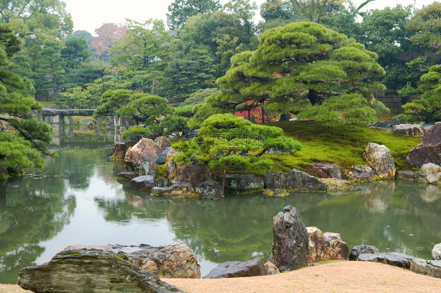 园圃的园圃季节花园池塘灌木丛环境风景树木植物灌木植物学图片