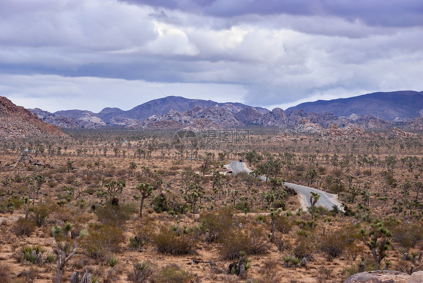 约书亚树岩石旅行场地公园植物橙子旅游沙漠国家植物群图片