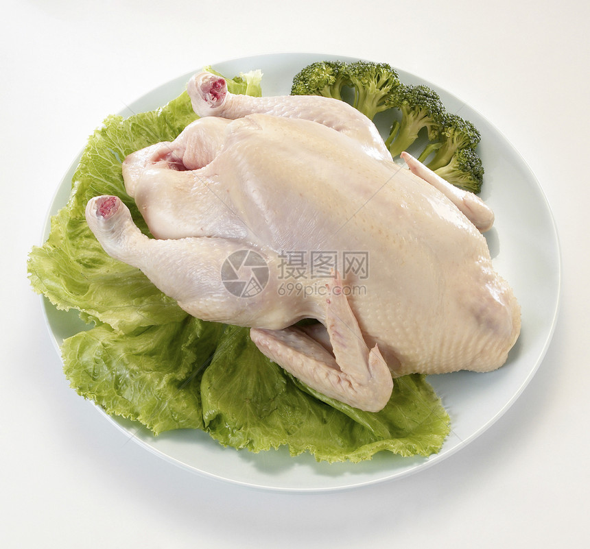 原鸡肉美食营养餐厅沙拉白色烹饪盘子母鸡皮肤翅膀图片