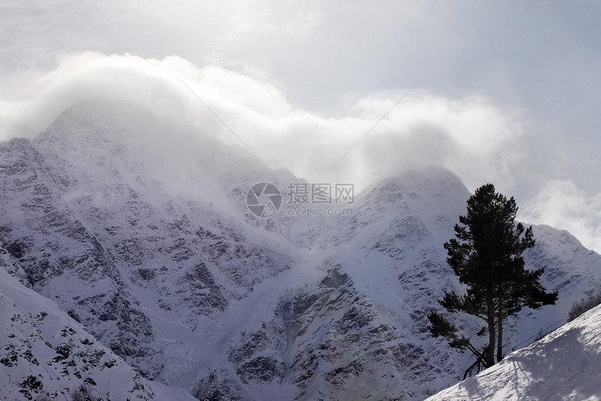埃尔布鲁斯山小路滑雪旅行云杉太阳顶峰阴霾树木蓝色季节图片