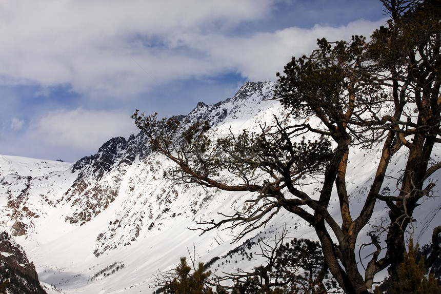埃尔布鲁斯山全景冰川顶峰滑雪板风景旅行太阳单板天空季节图片