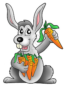 兔子加胡萝卜叶子绘画树叶手工场地动物生活蔬菜收获收成背景图片