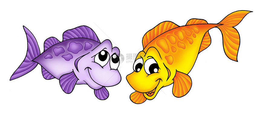 黄鱼和紫鱼图片