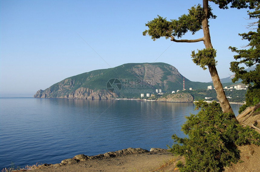 海礁海洋岩石海岸海鸥空间开放图片