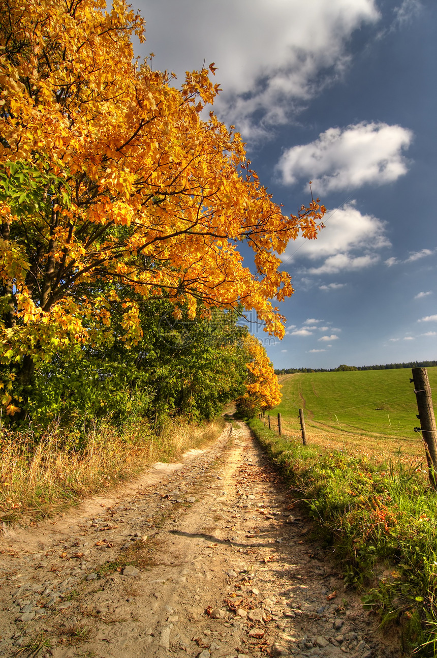 乡村道路和秋季农村地貌图片