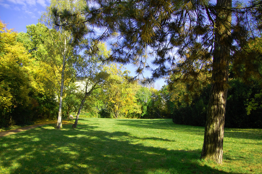 夏天在公园里 有绿树和青草国家风景场景天空环境农村树木晴天课程草地图片