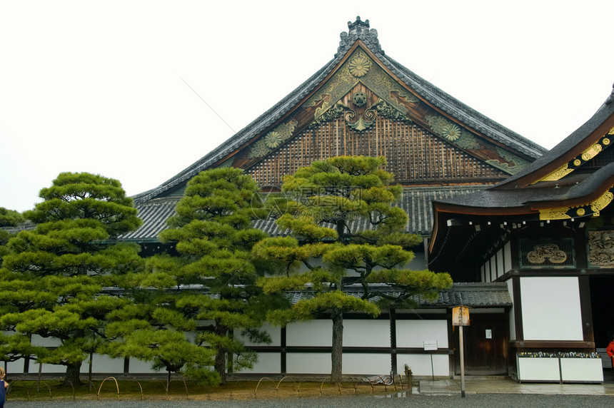 尼霍城堡建筑学石头松树旅行博物馆历史房子古董寺庙建筑图片