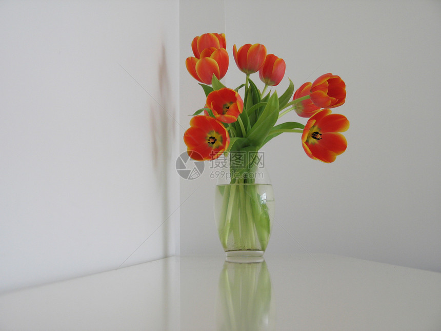 橙色和黄色郁金香母亲橙子花瓶花粉生长花瓣雌蕊粉末绿色植物柱头图片