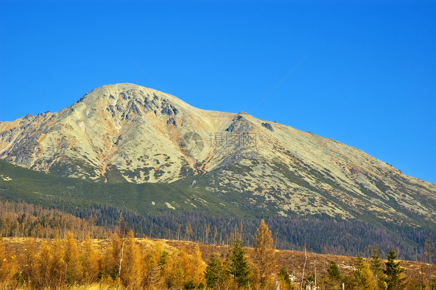 高塔特拉山脉石头岩石森林首脑爬坡山脉树木丘陵图片