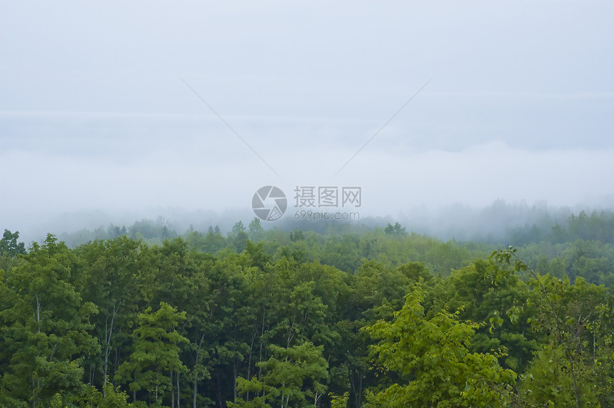 雾地貌蓝色区系土地森林公园地球天空白色植物山脉图片